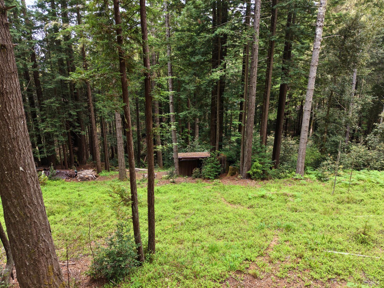 22051 Rust Drive Timber Cove CA 95450