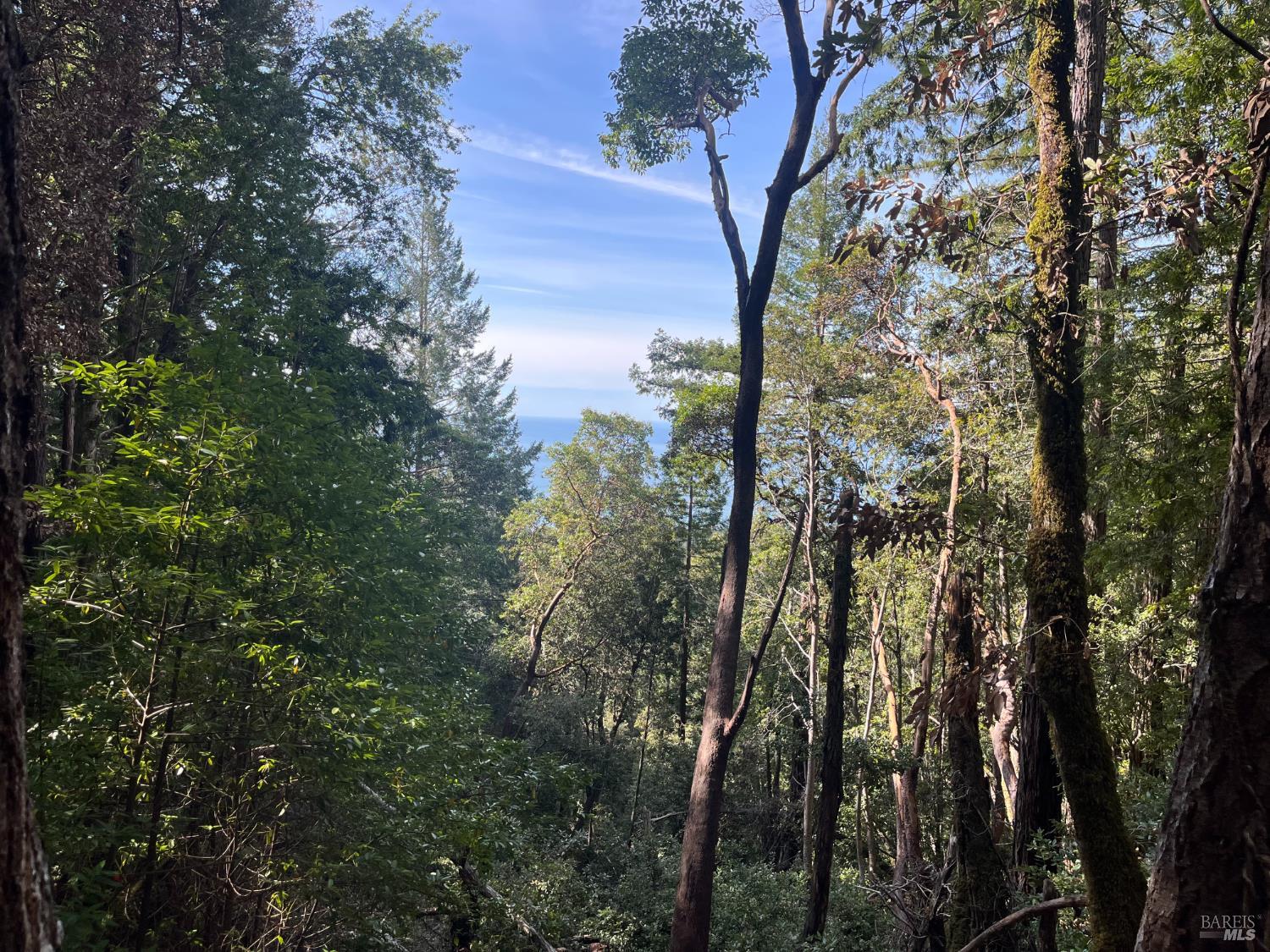 30055 Seaview Road Cazadero CA 95421