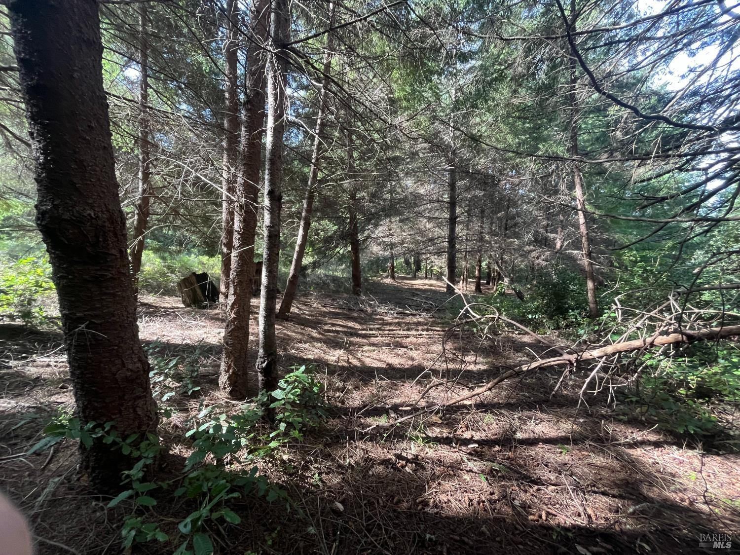 30055 Seaview Road Cazadero CA 95421