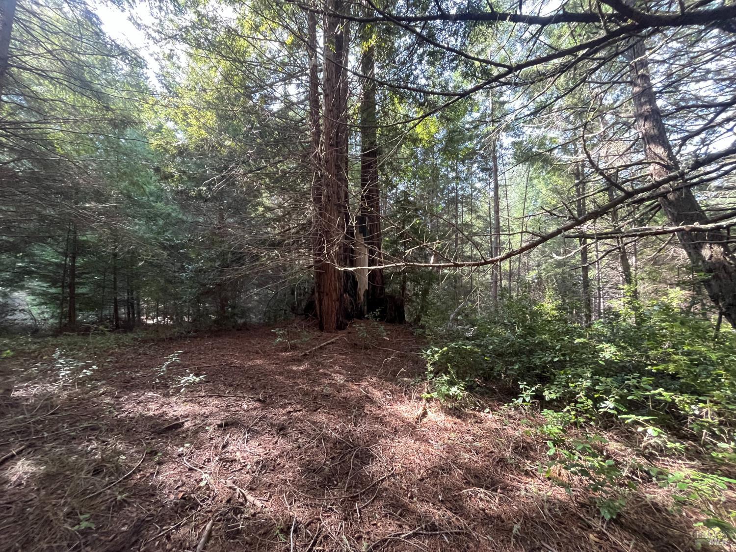 30055 Seaview Road Cazadero CA 95421