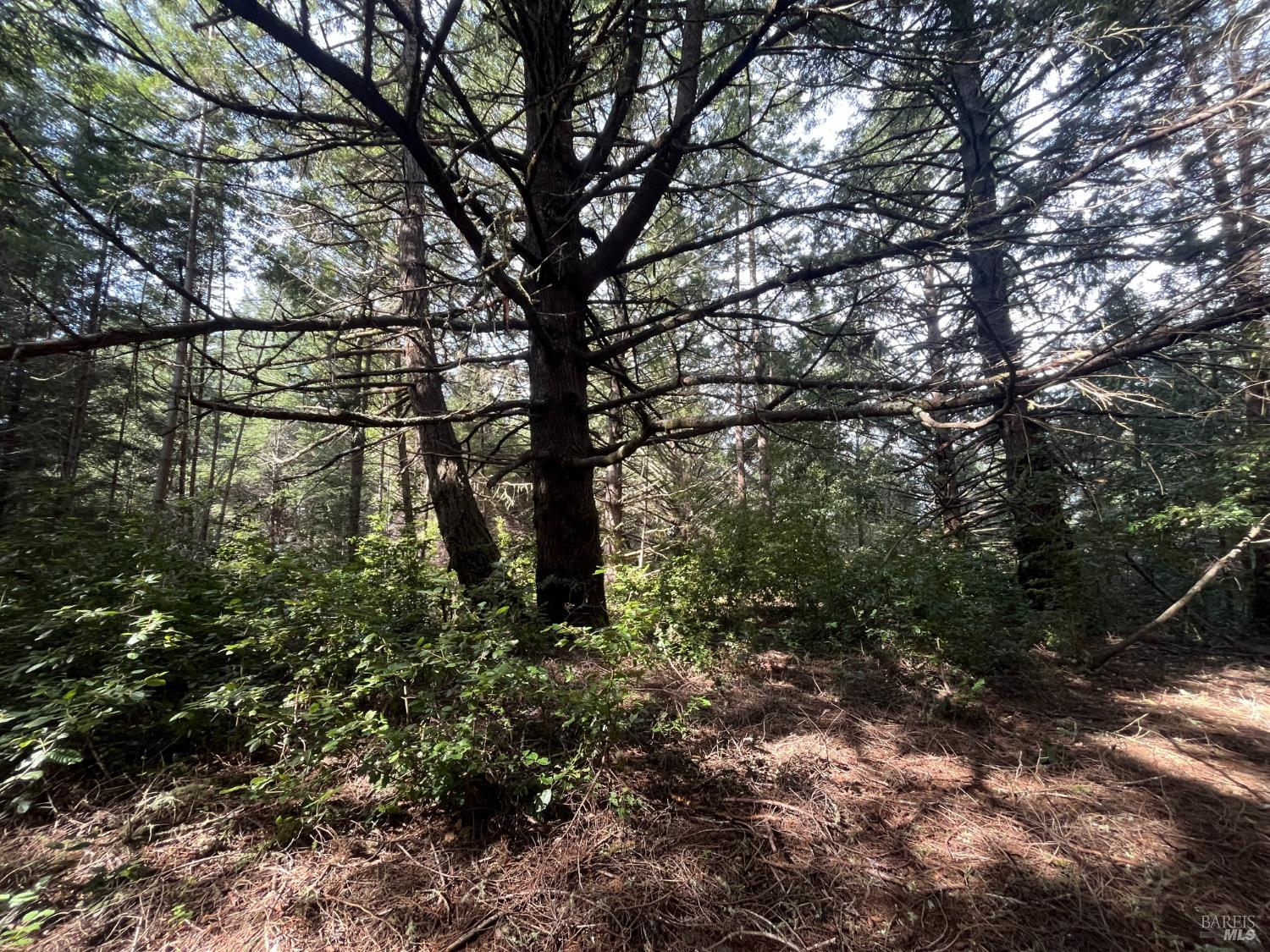 30055 Seaview Road Cazadero CA 95421