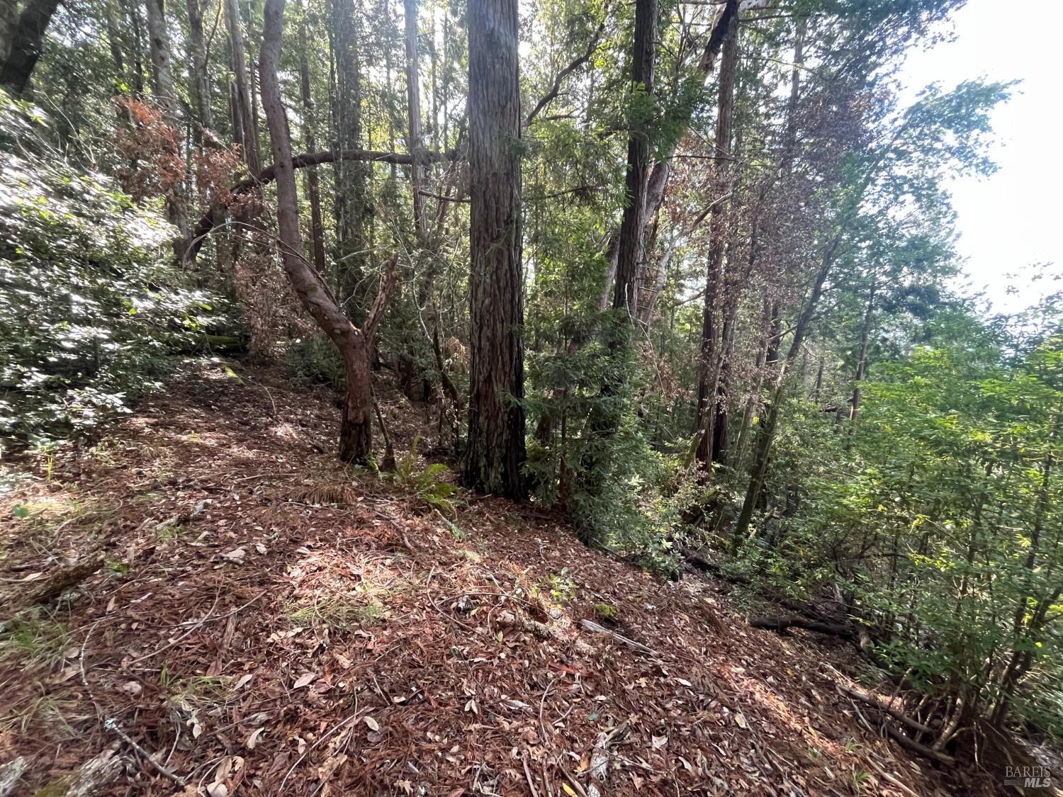 30055 Seaview Road Cazadero CA 95421