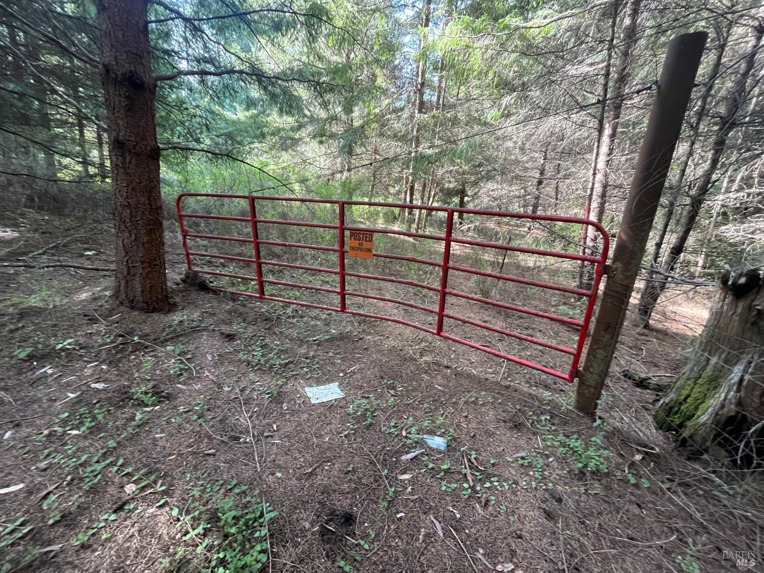 30055 Seaview Road Cazadero CA 95421