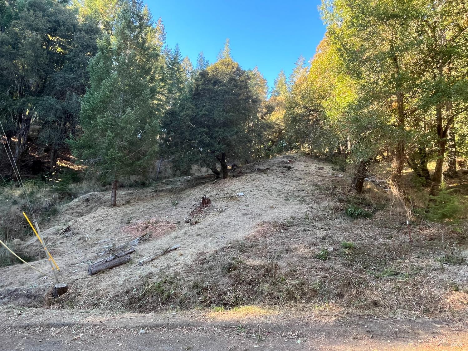24573 Cypress Drive Willits CA 95490