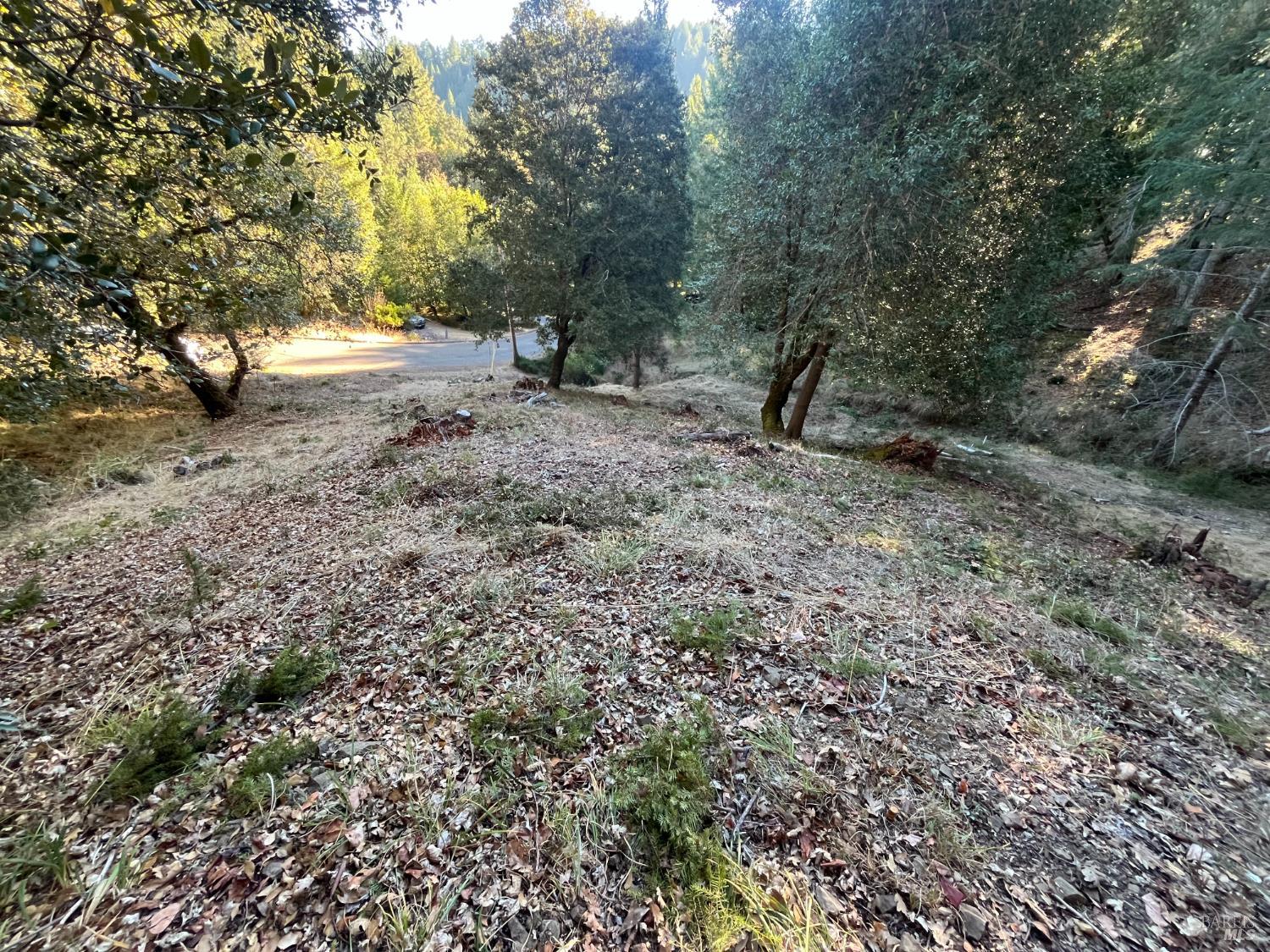 24573 Cypress Drive Willits CA 95490