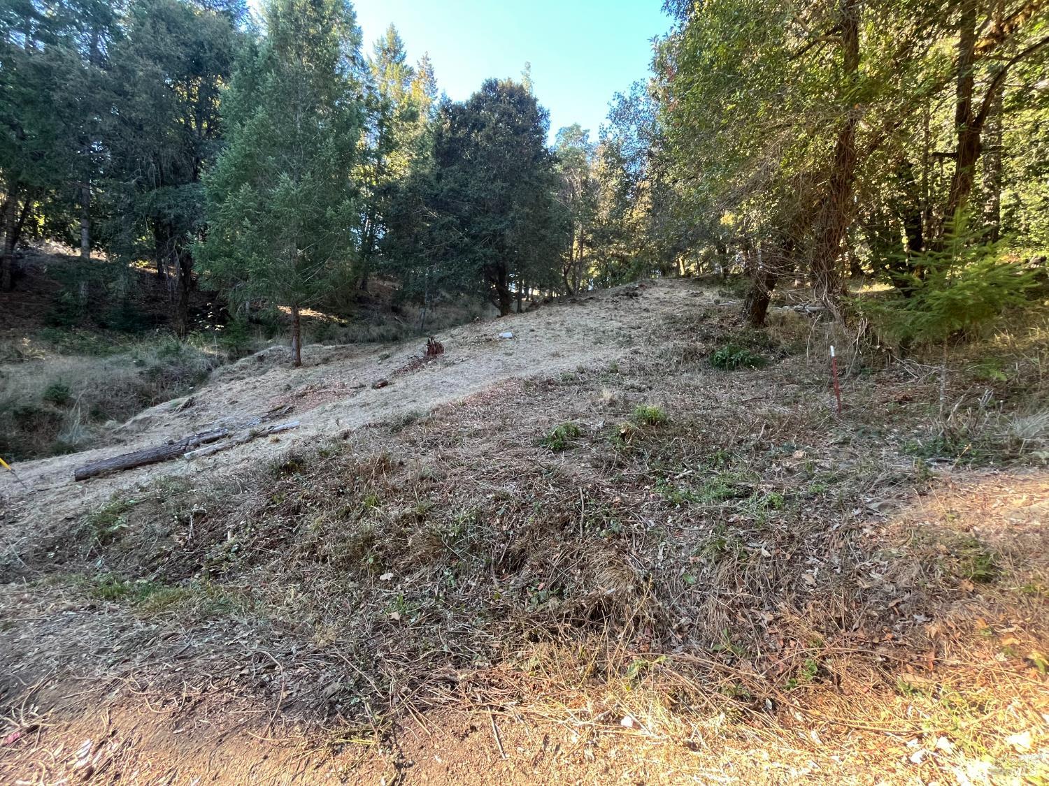 24573 Cypress Drive Willits CA 95490