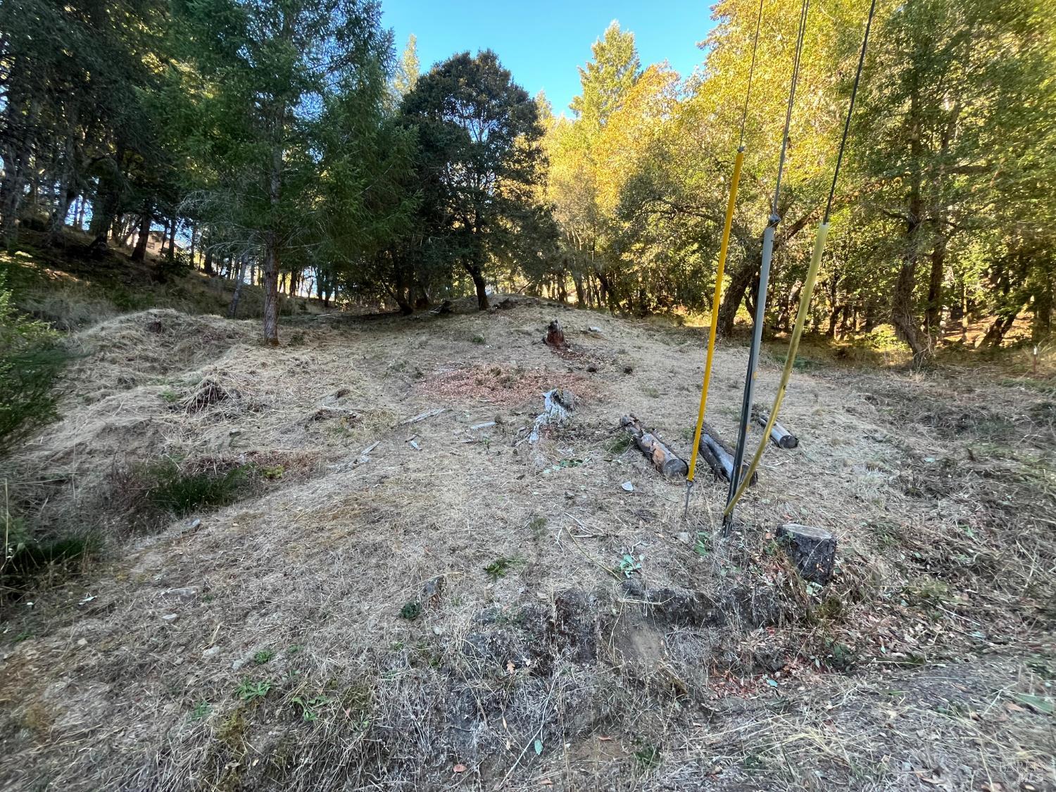 24573 Cypress Drive Willits CA 95490