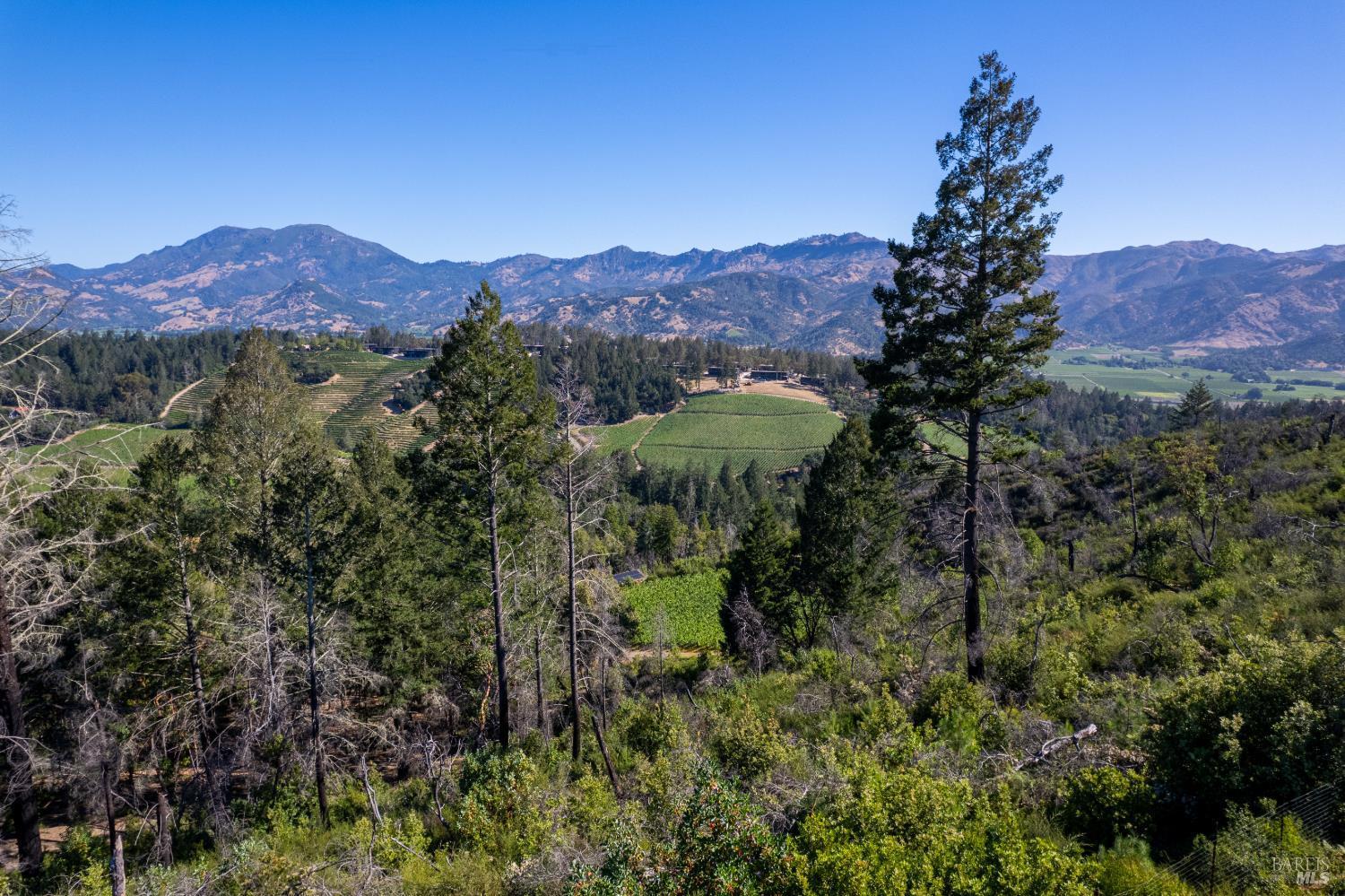 0 Diamond Mountain Road Calistoga CA 94515