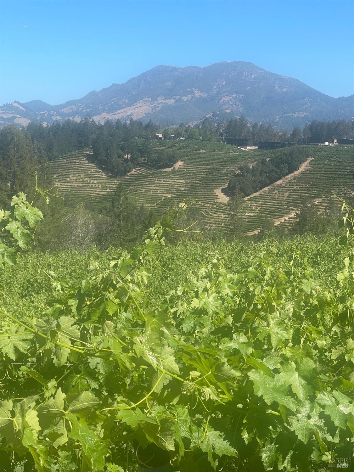 0 Diamond Mountain Road Calistoga CA 94515