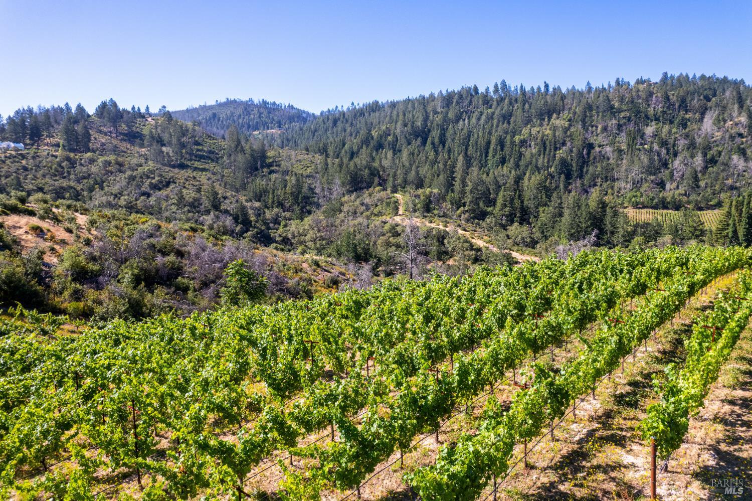 0 Diamond Mountain Road Calistoga CA 94515