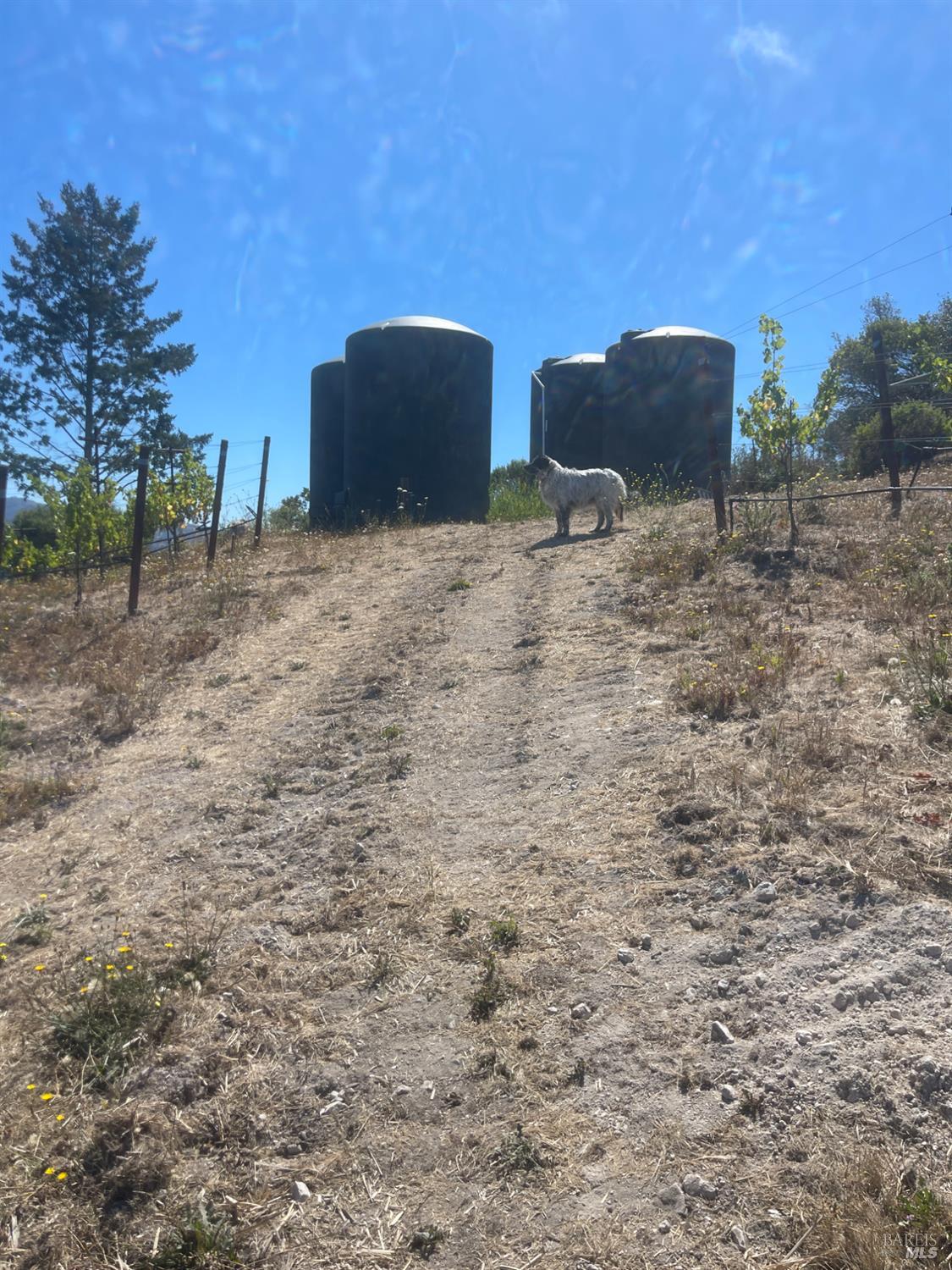 0 Diamond Mountain Road Calistoga CA 94515