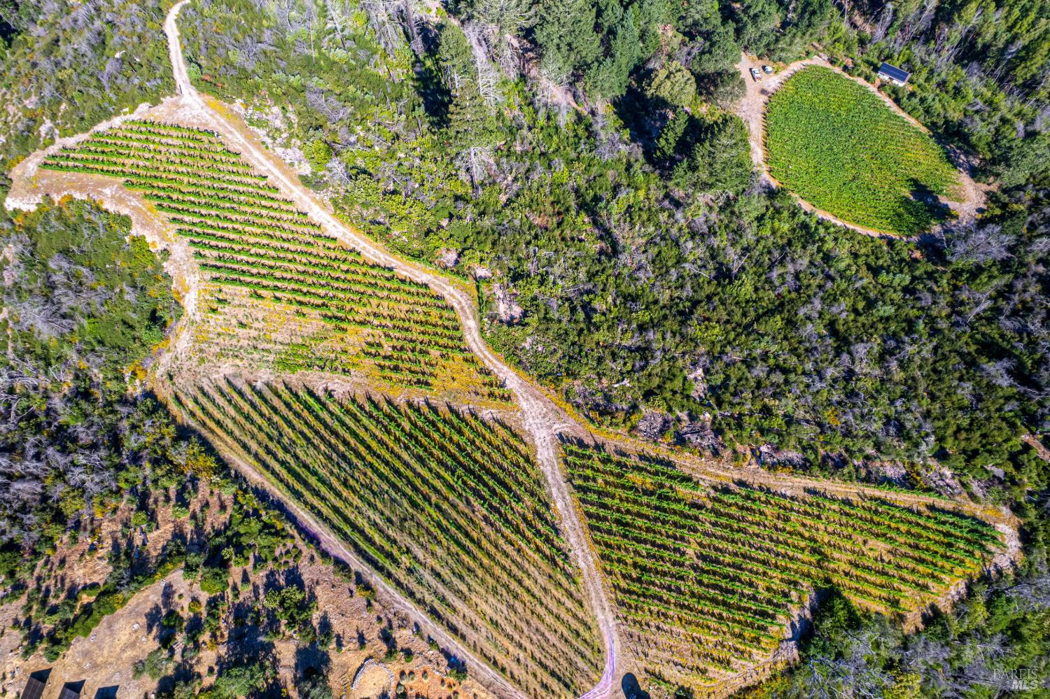 0 Diamond Mountain Road Calistoga CA 94515