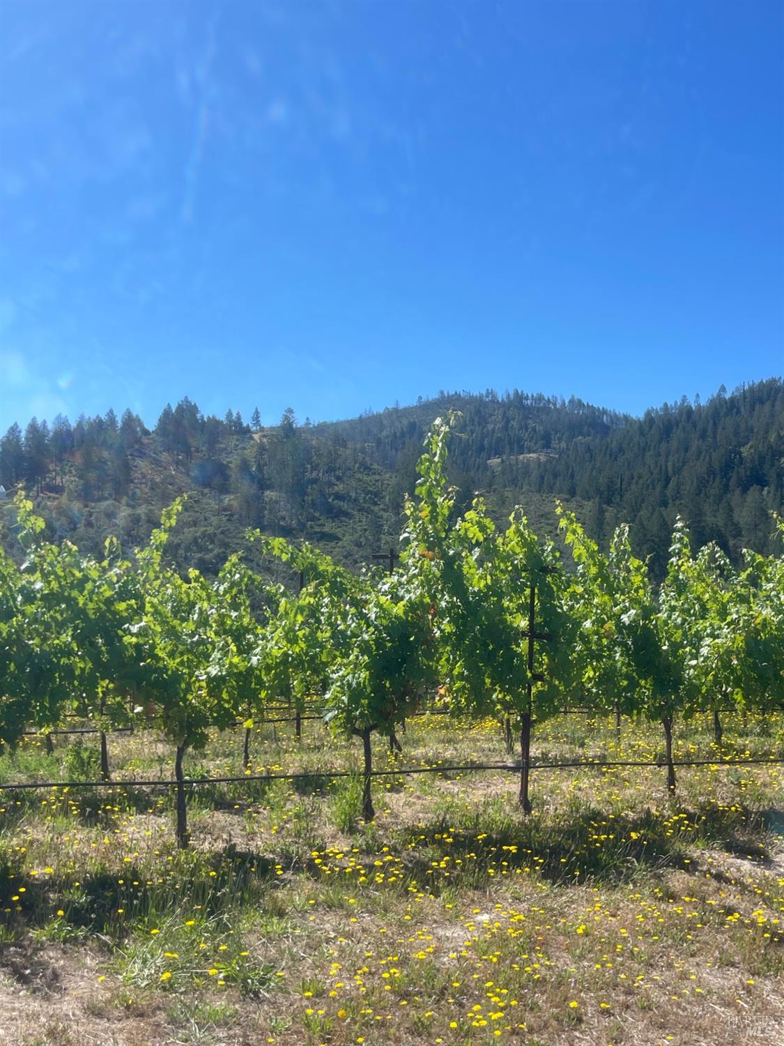 0 Diamond Mountain Road Calistoga CA 94515