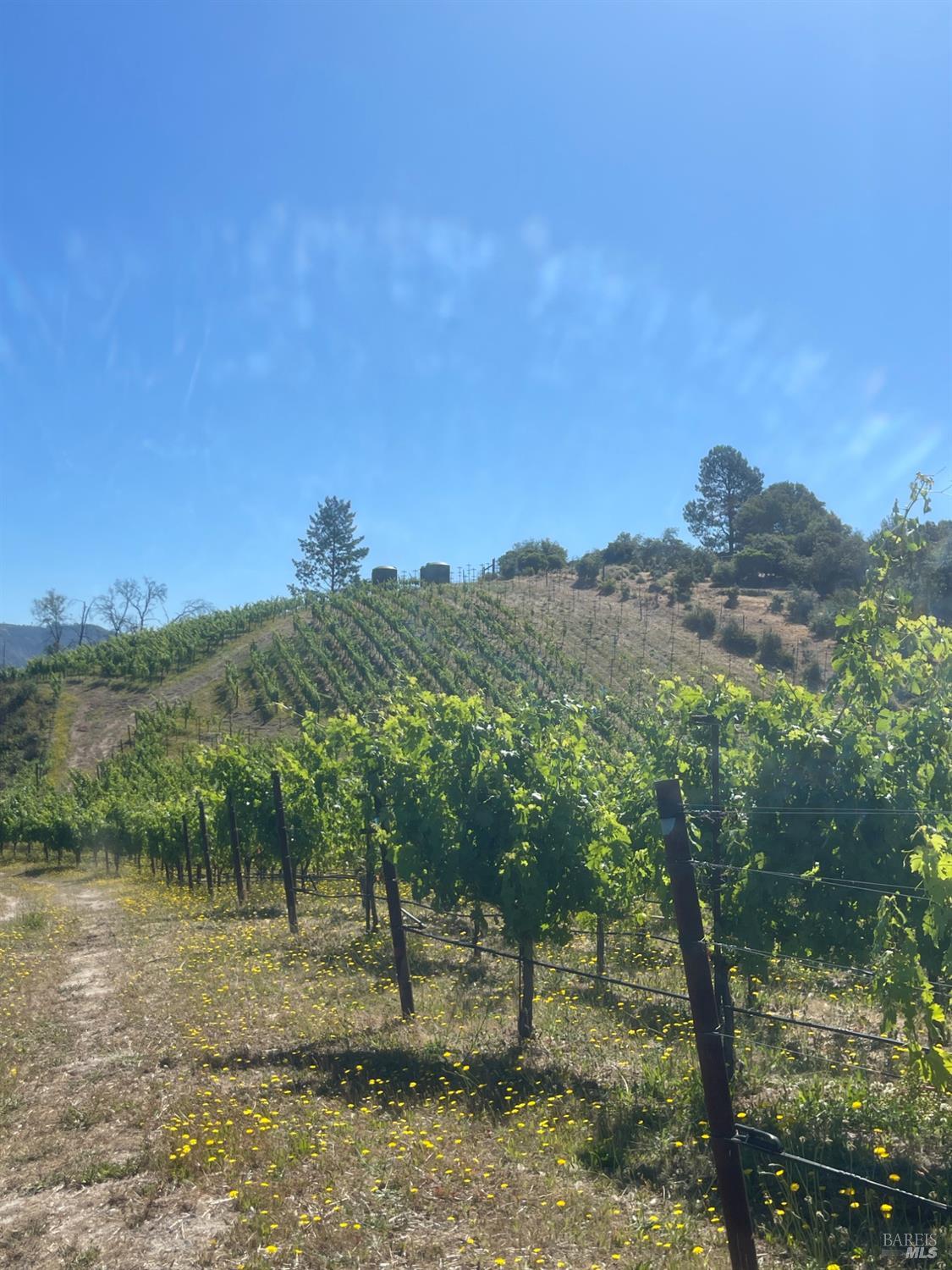 0 Diamond Mountain Road Calistoga CA 94515