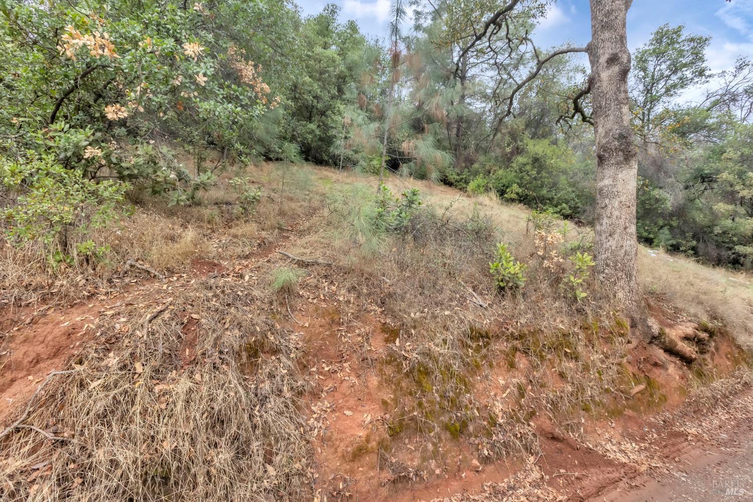 12636 Lakeview Drive Clearlake Oaks CA 95423