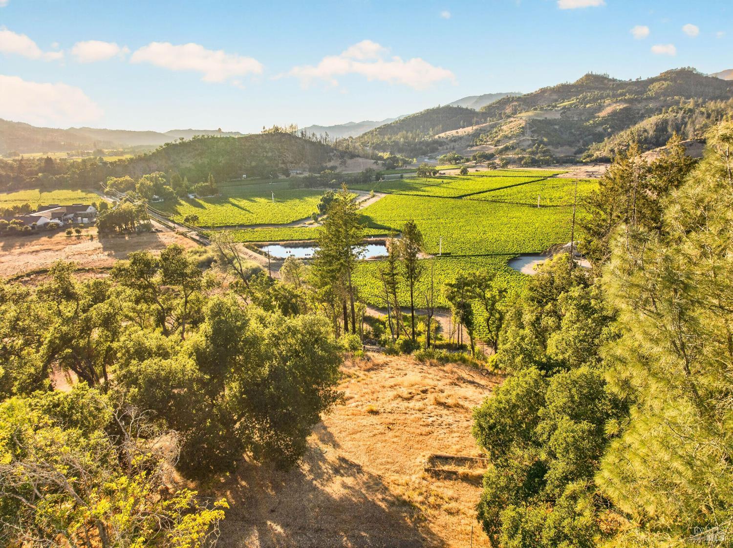 318 Crystal Springs Road St. Helena CA 94574