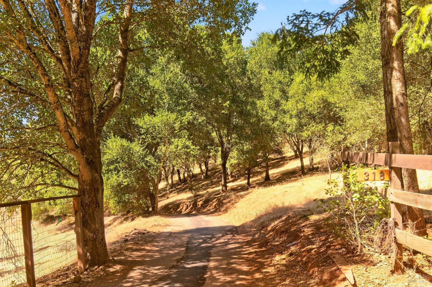 318 Crystal Springs Road St. Helena CA 94574