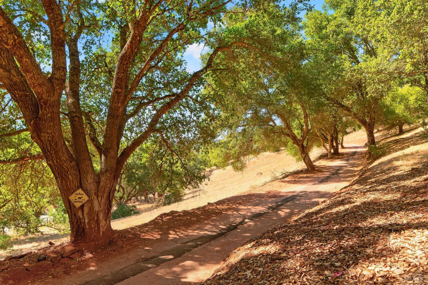 318 Crystal Springs Road St. Helena CA 94574
