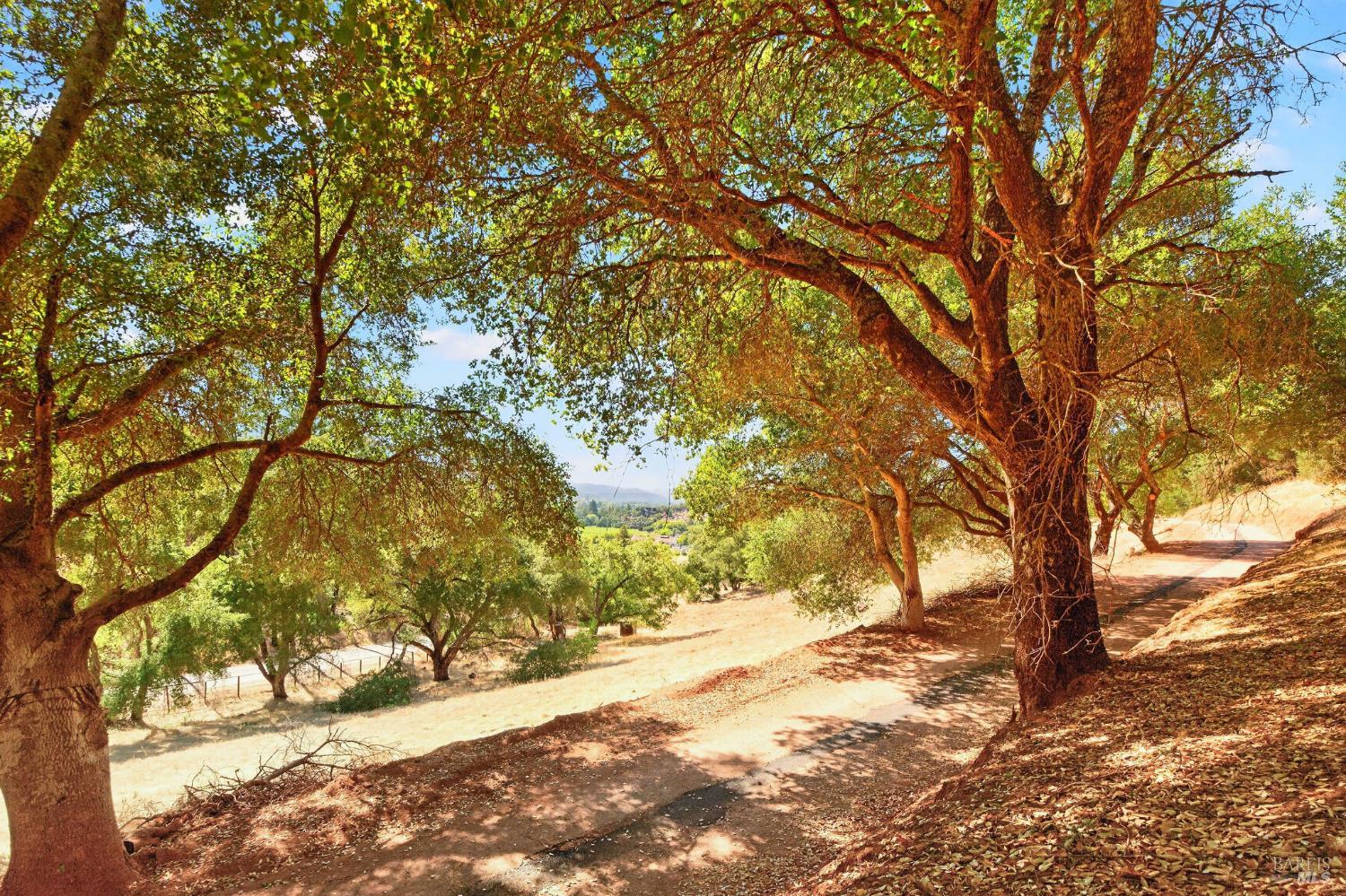 318 Crystal Springs Road St. Helena CA 94574
