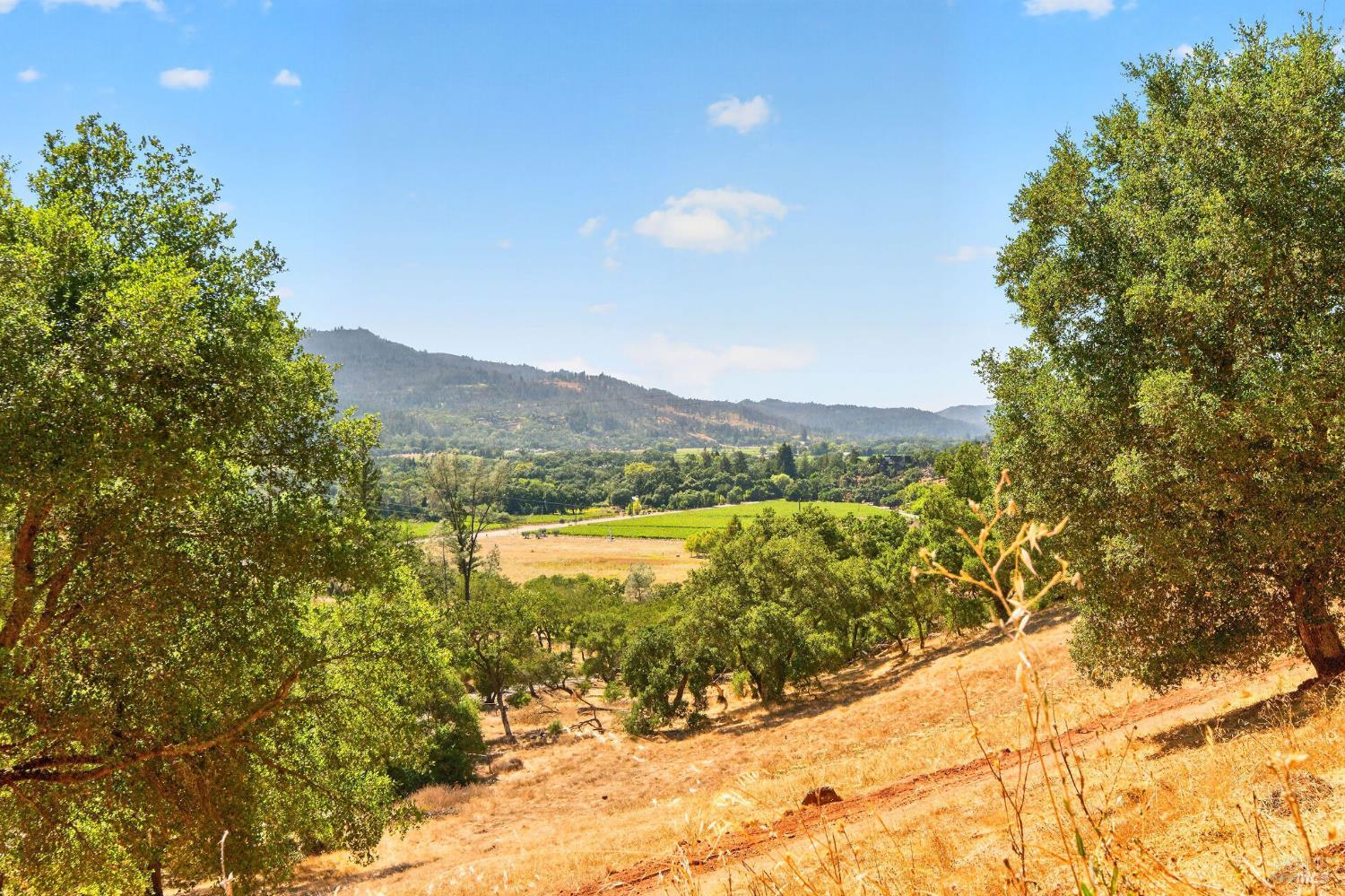 318 Crystal Springs Road St. Helena CA 94574