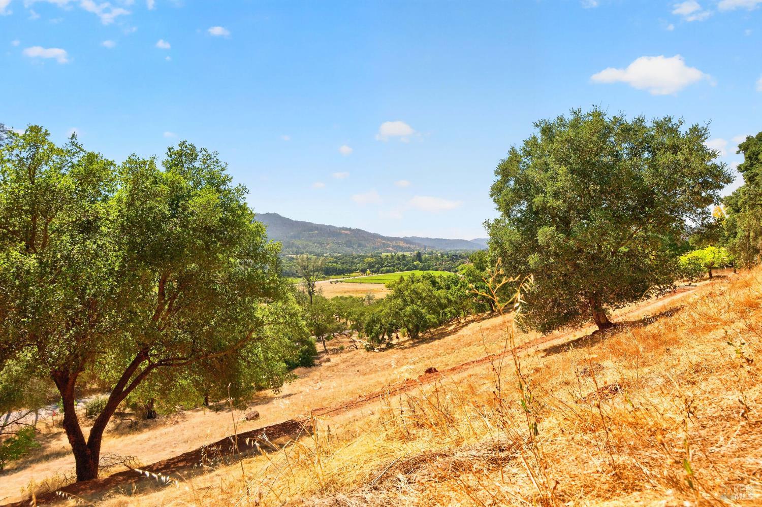 318 Crystal Springs Road St. Helena CA 94574