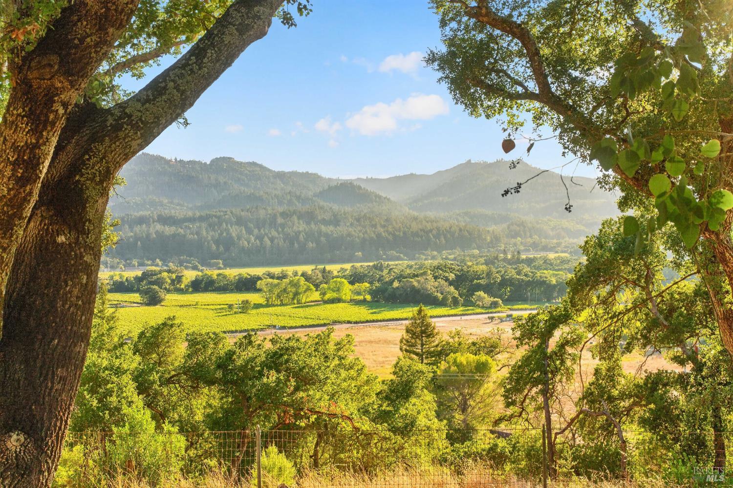 318 Crystal Springs Road St. Helena CA 94574