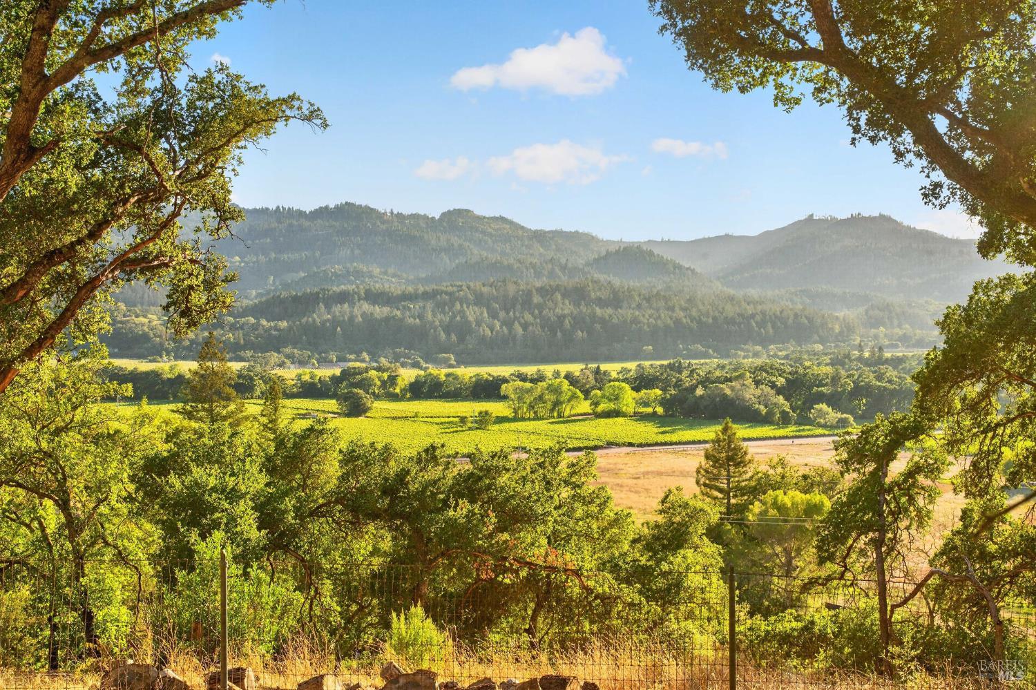 318 Crystal Springs Road St. Helena CA 94574