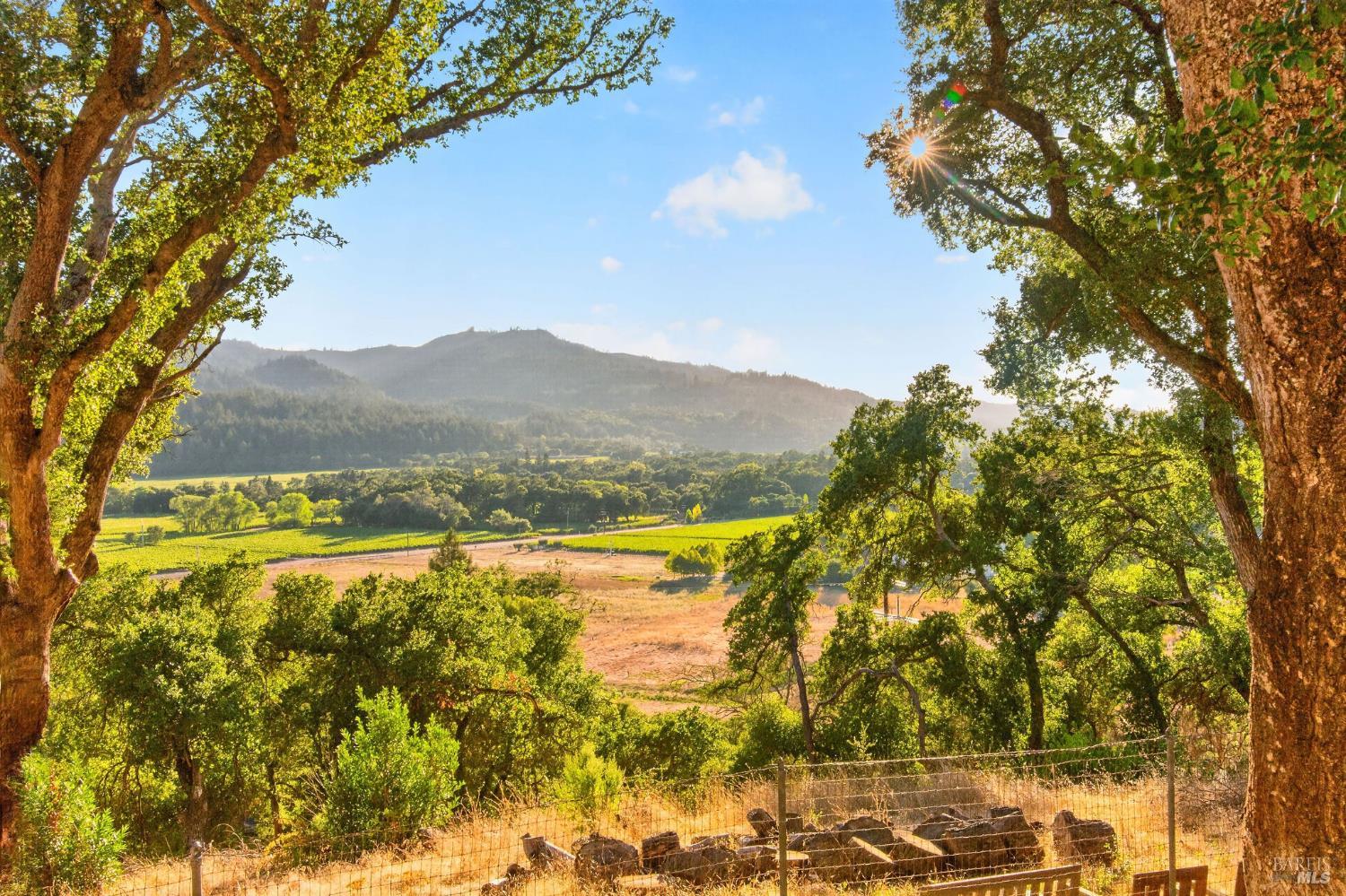 318 Crystal Springs Road St. Helena CA 94574