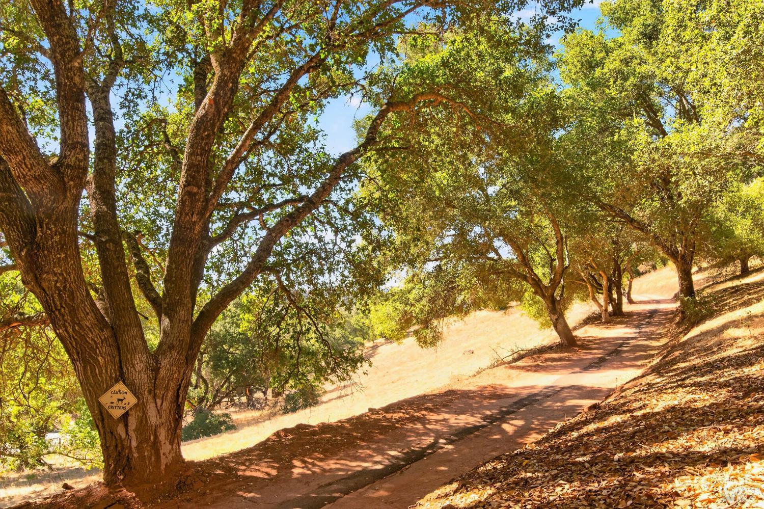 318 Crystal Springs Road St. Helena CA 94574