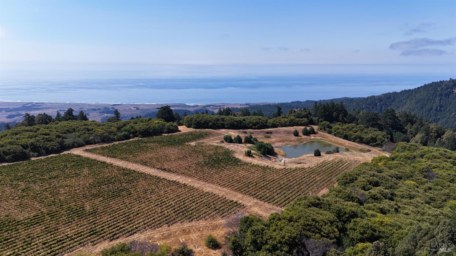 39000 Crispin Road Manchester CA 95459