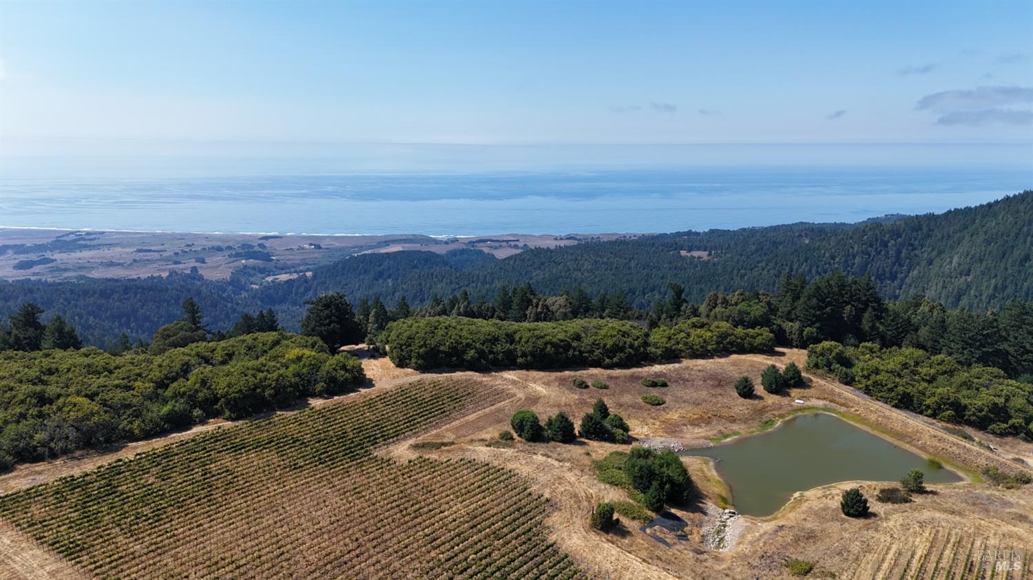 39000 Crispin Road Manchester CA 95459