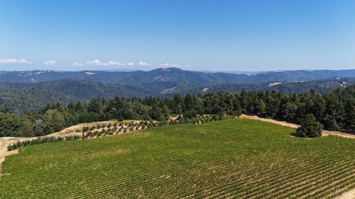 39000 Crispin Road Manchester CA 95459