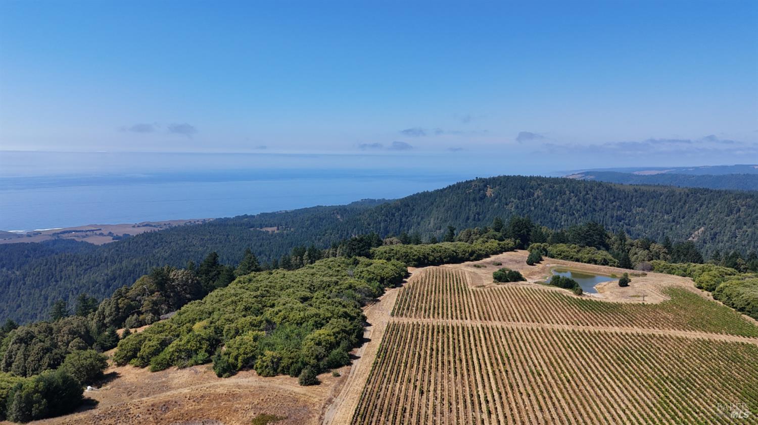 39000 Crispin Road Manchester CA 95459