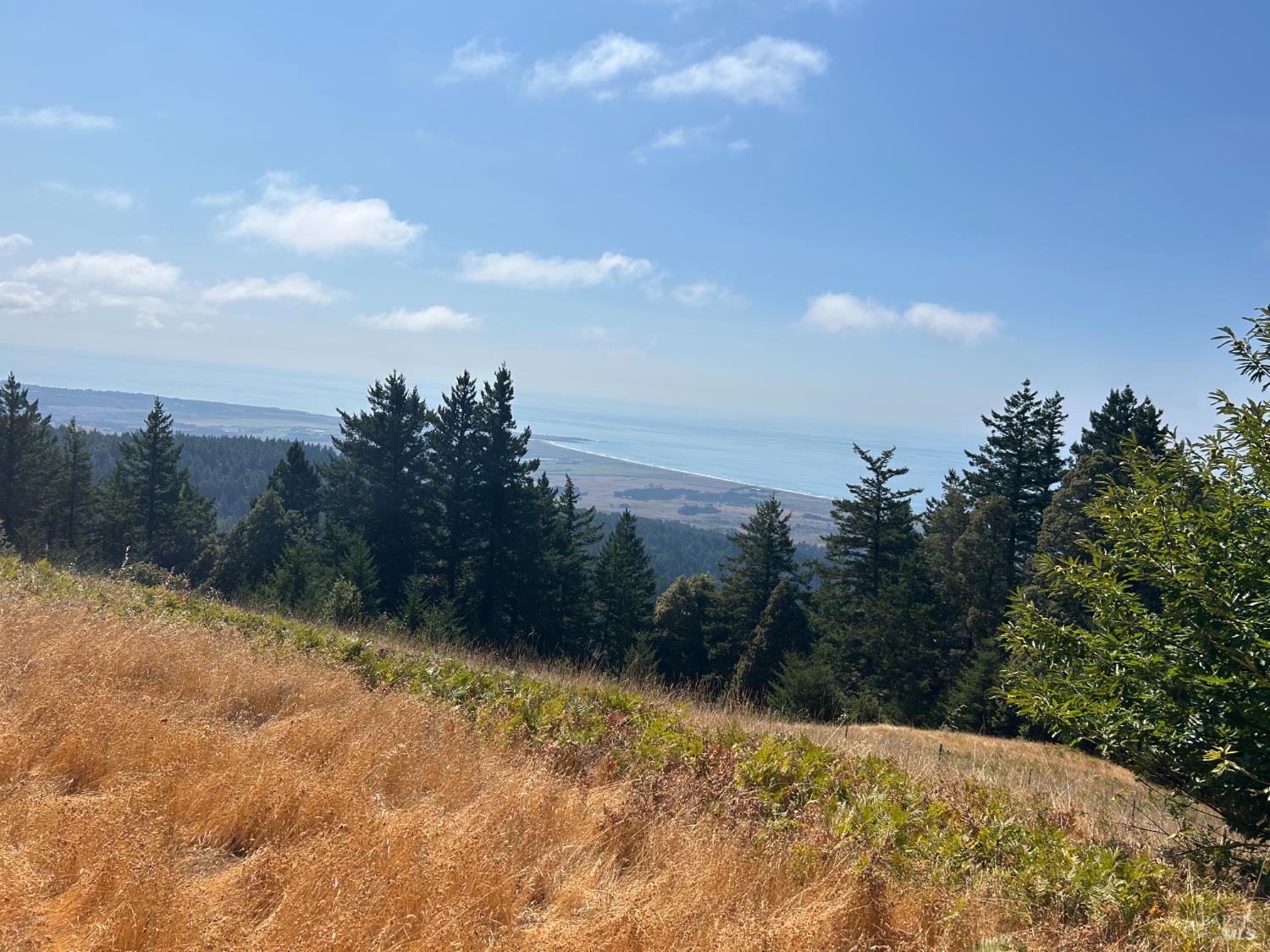 39000 Crispin Road Manchester CA 95459