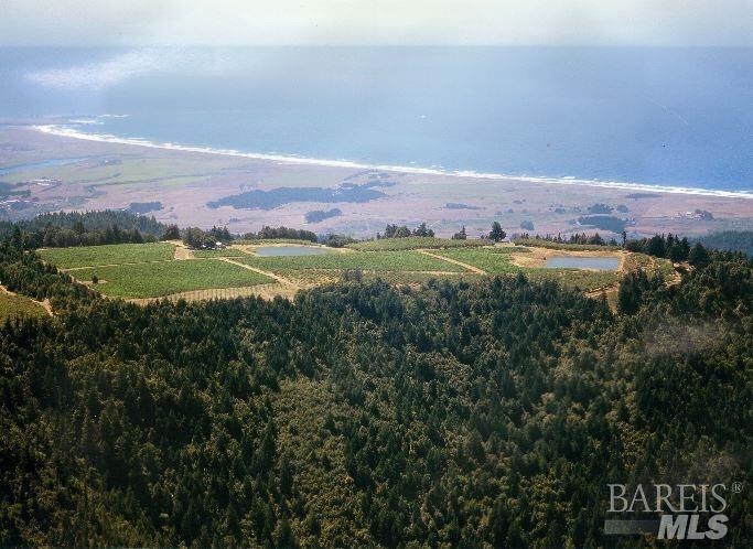 39000 Crispin Road Manchester CA 95459