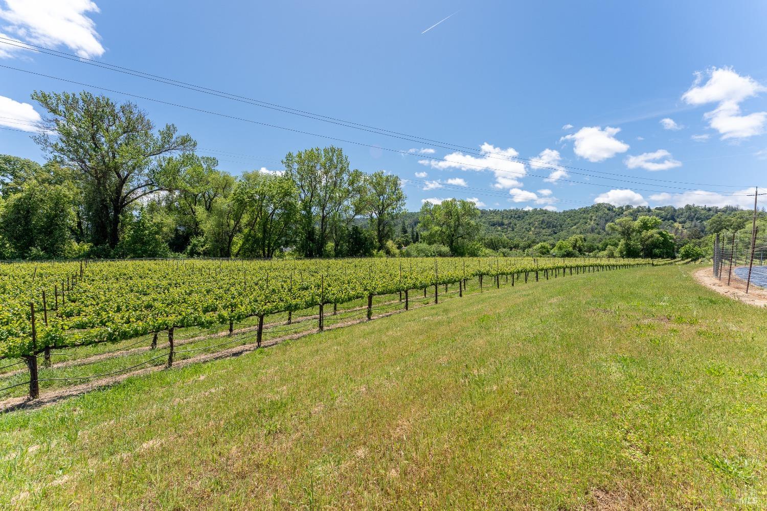 3525 Taylor Drive Ukiah CA 95482