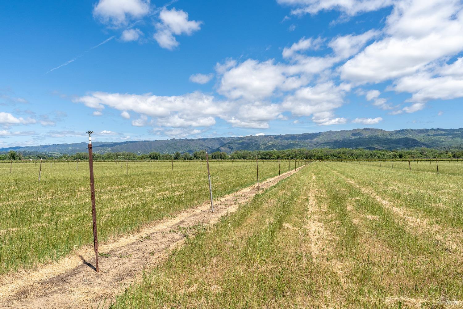 3525 Taylor Drive Ukiah CA 95482