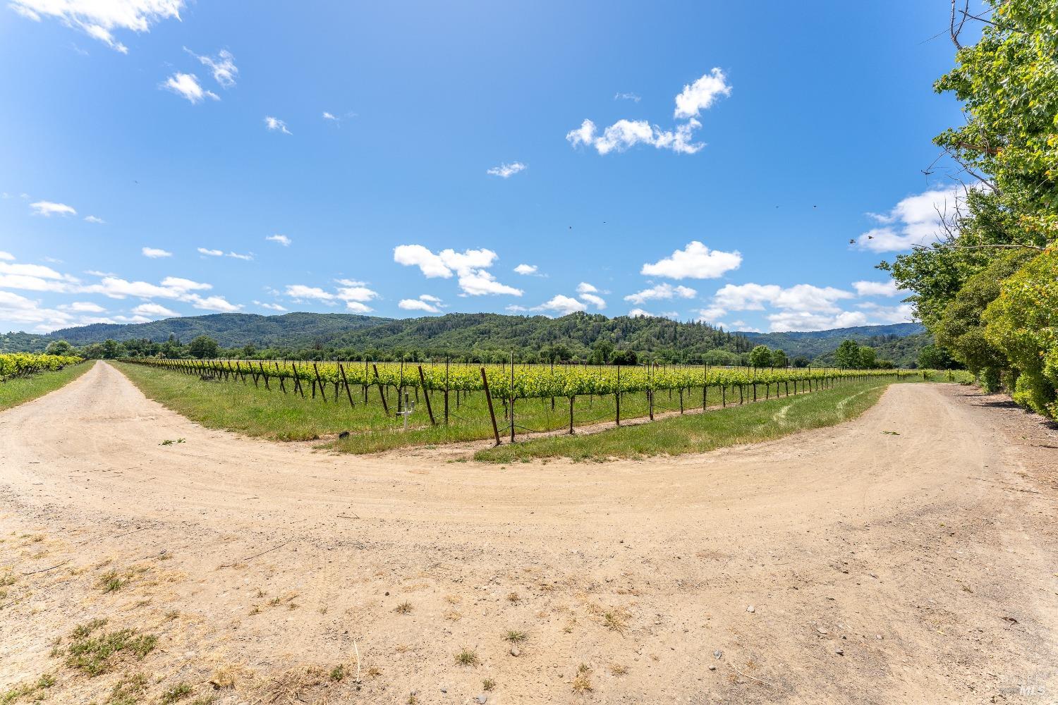 3525 Taylor Drive Ukiah CA 95482