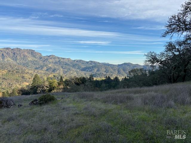 4025 Lake County Highway Calistoga CA 94515