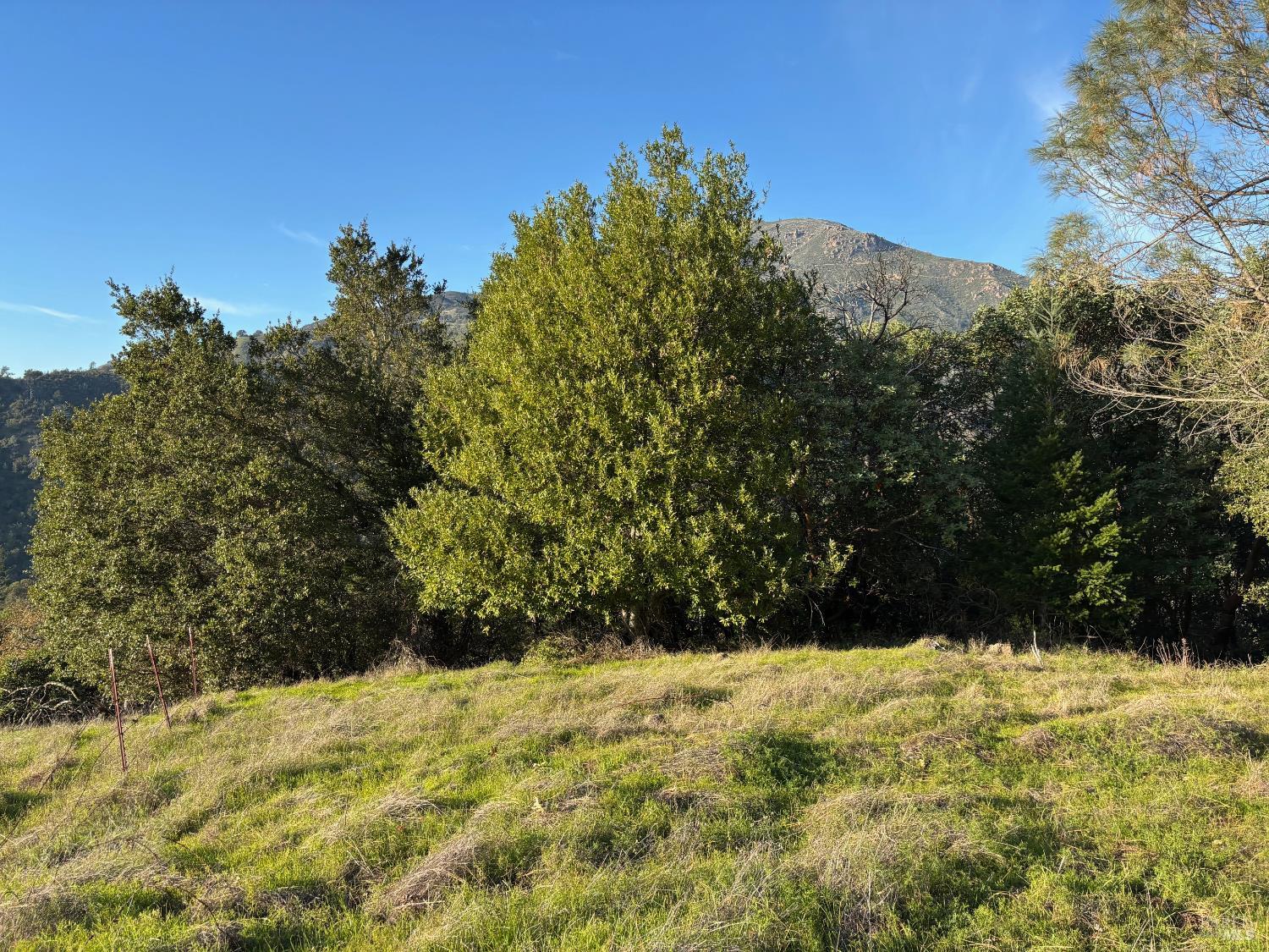 4025 Lake County Highway Calistoga CA 94515