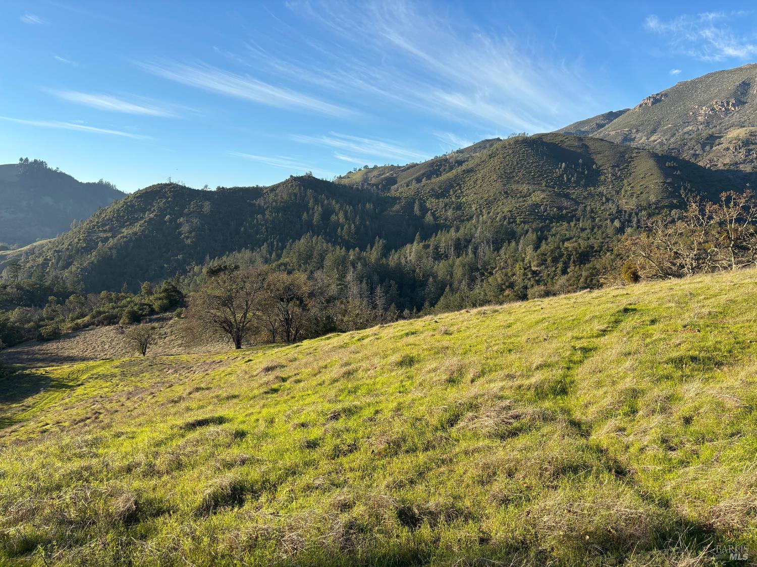 4025 Lake County Highway Calistoga CA 94515