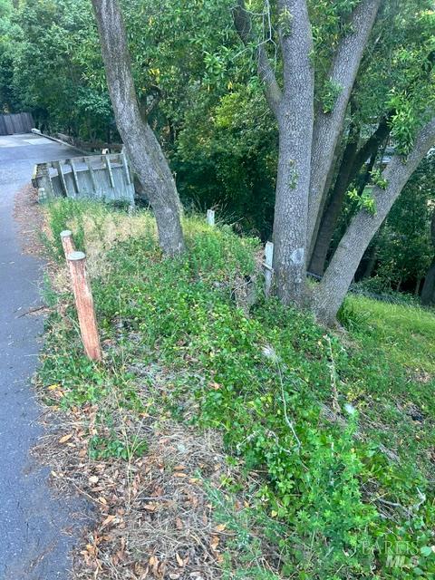 146 Allyn Avenue San Anselmo CA 94960