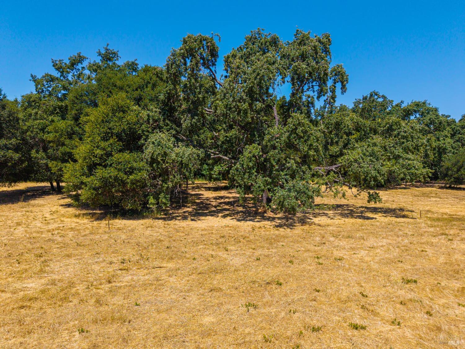 0 Silverado Trail Napa CA 94558