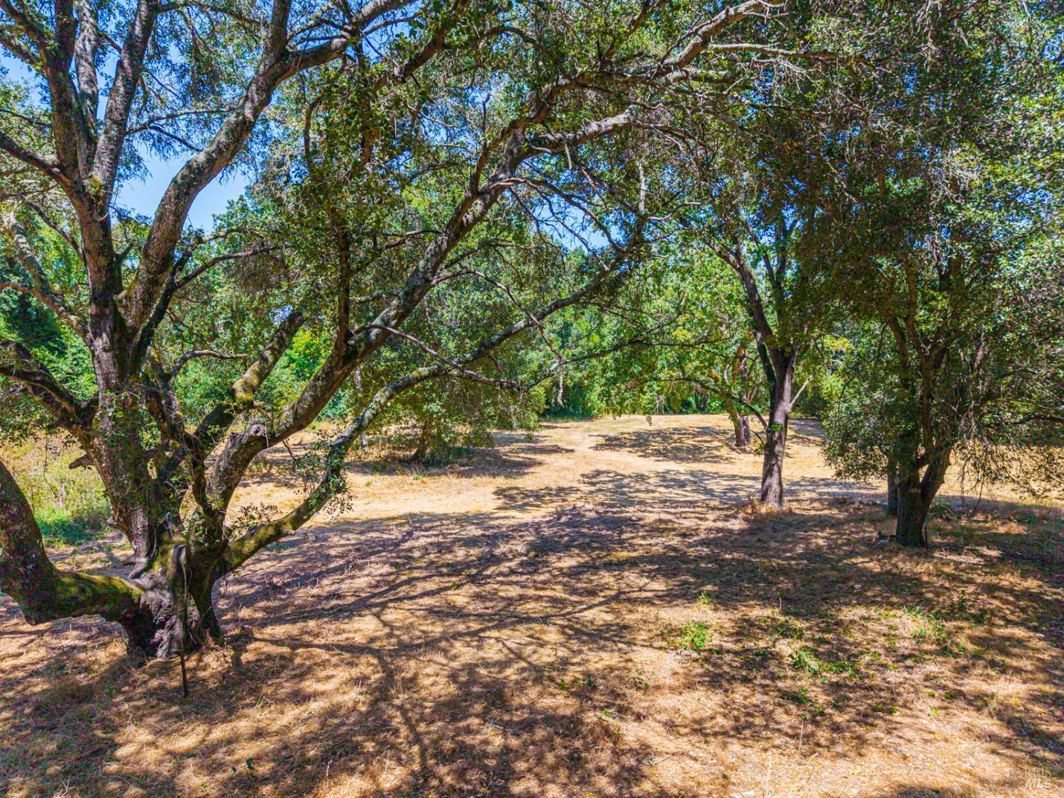 0 Silverado Trail Napa CA 94558