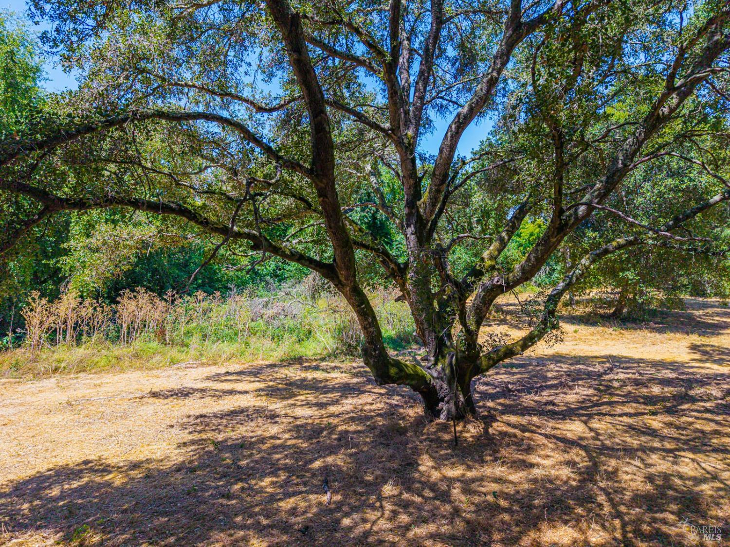 0 Silverado Trail Napa CA 94558