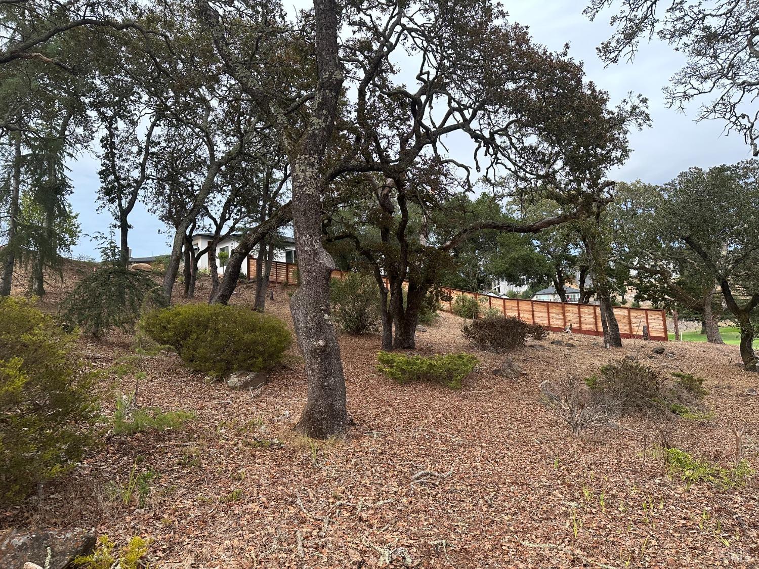 3703 Llyn Glaslyn Place Santa Rosa CA 95403