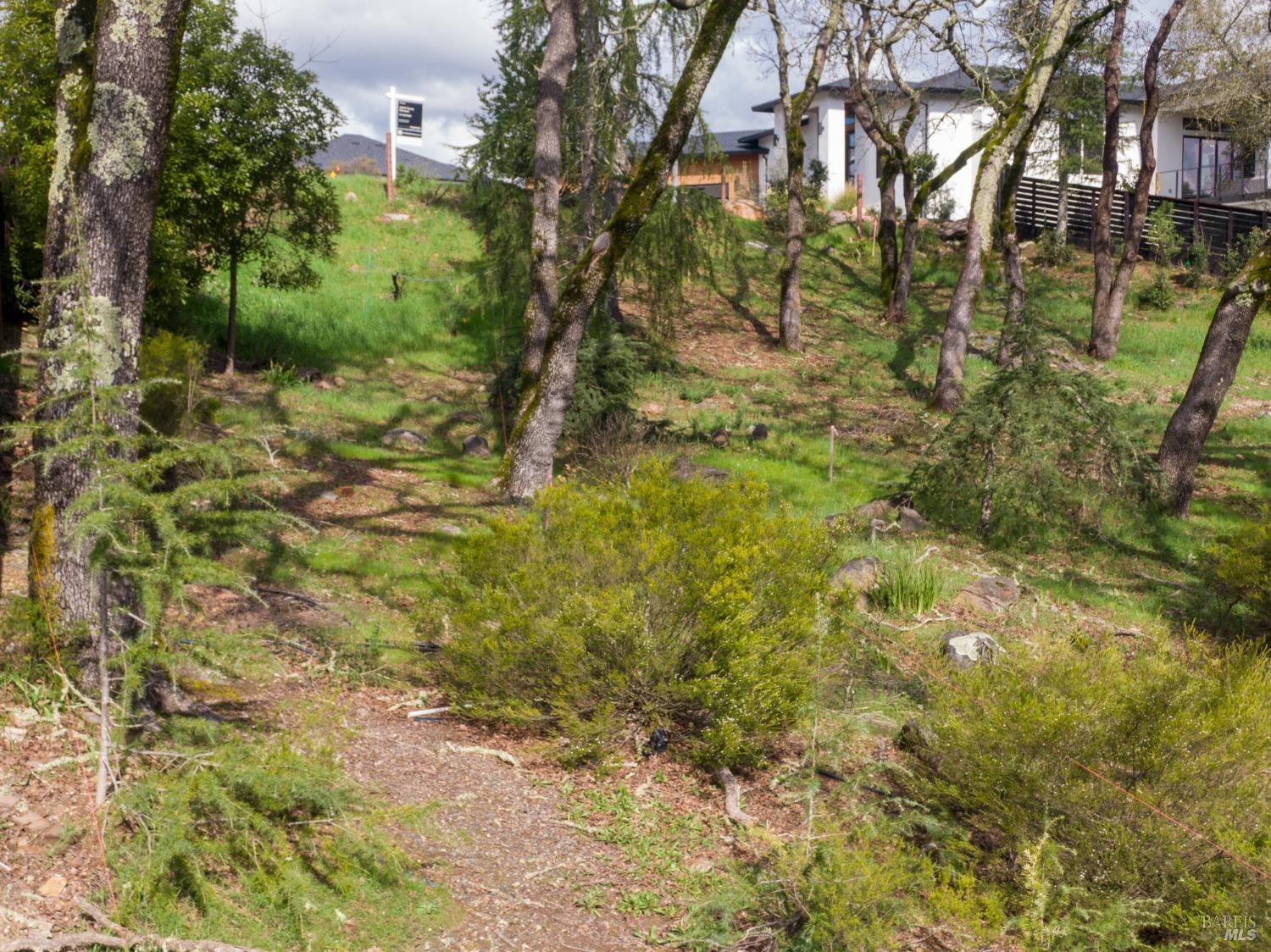 3703 Llyn Glaslyn Place Santa Rosa CA 95403