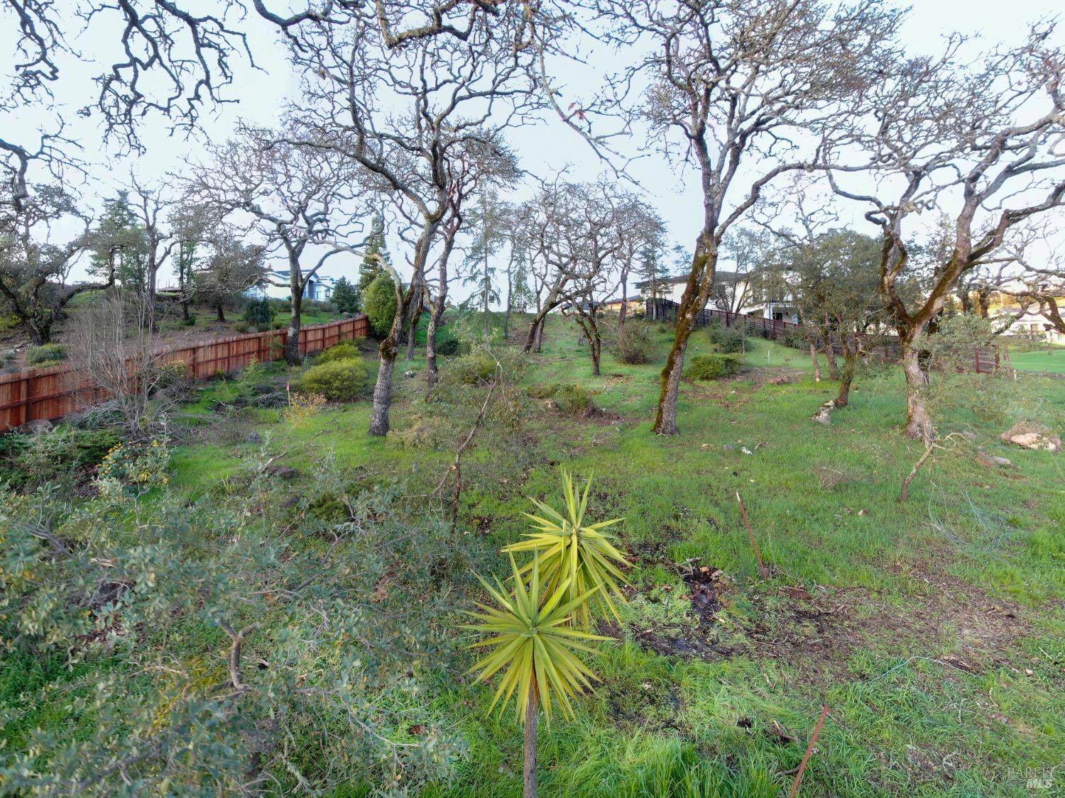 3703 Llyn Glaslyn Place Santa Rosa CA 95403