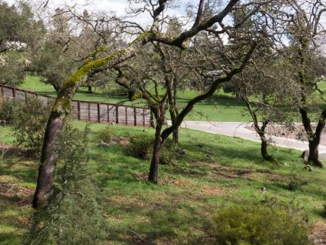 3703 Llyn Glaslyn Place Santa Rosa CA 95403