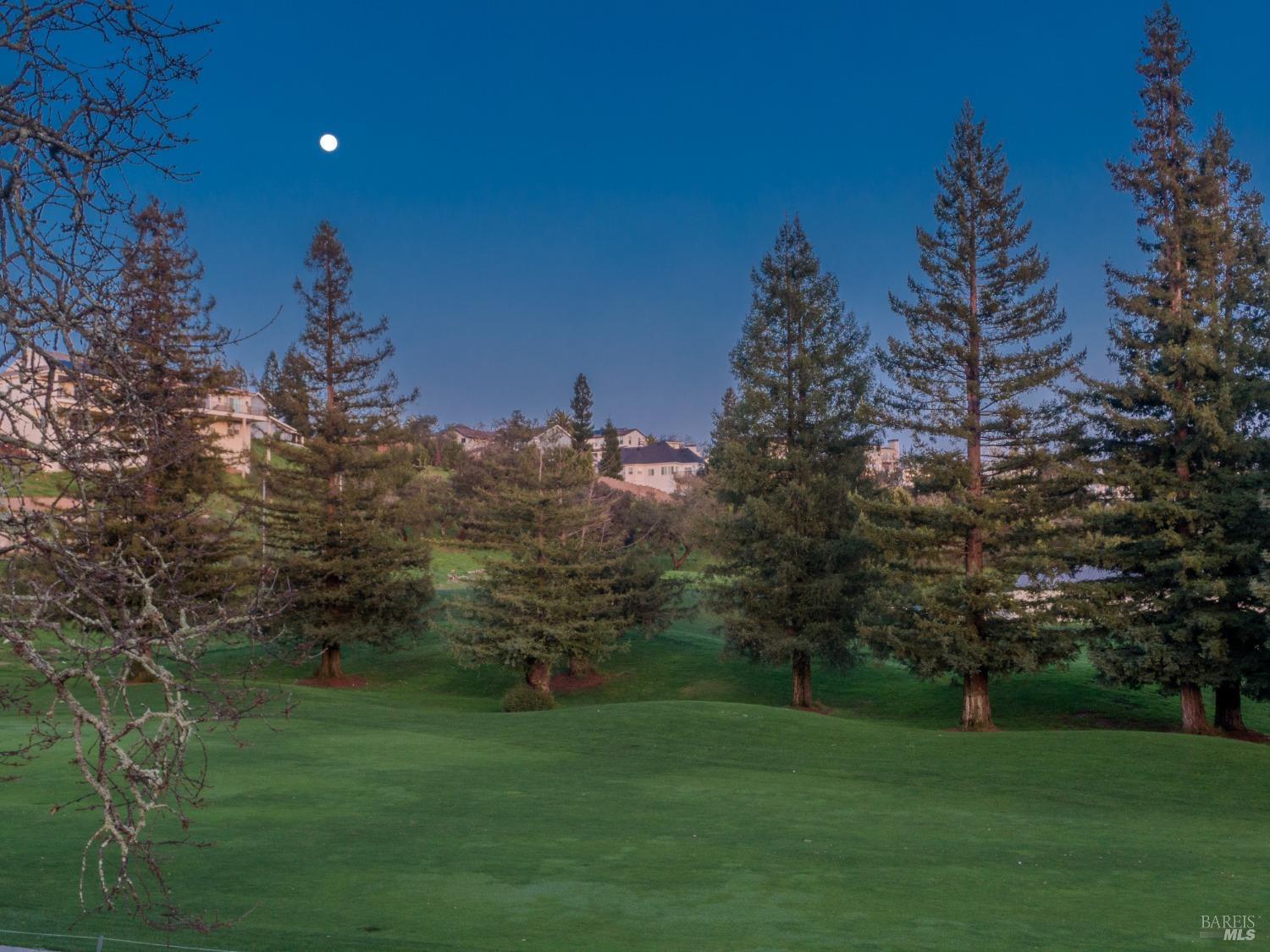 3703 Llyn Glaslyn Place Santa Rosa CA 95403